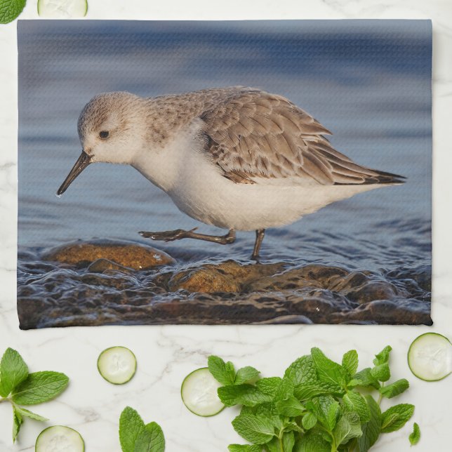 Linge De Cuisine Un Sanderling (Plié)