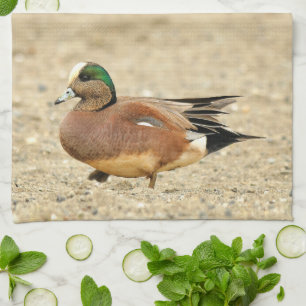 Linge De Cuisine Un Wigeon américain sur la plage