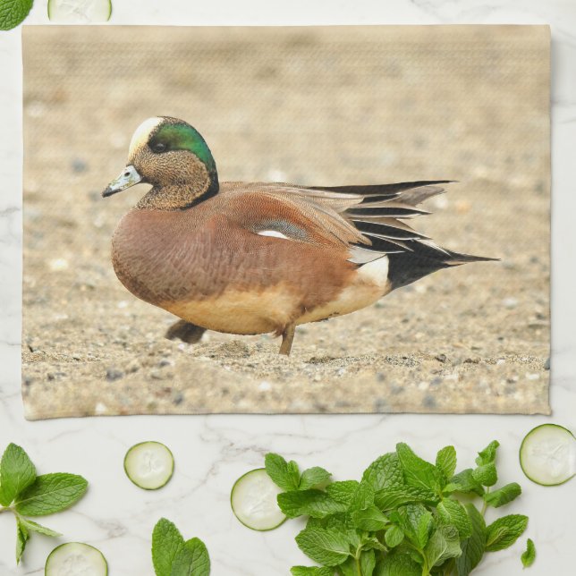Linge De Cuisine Un Wigeon américain sur la plage (Plié)