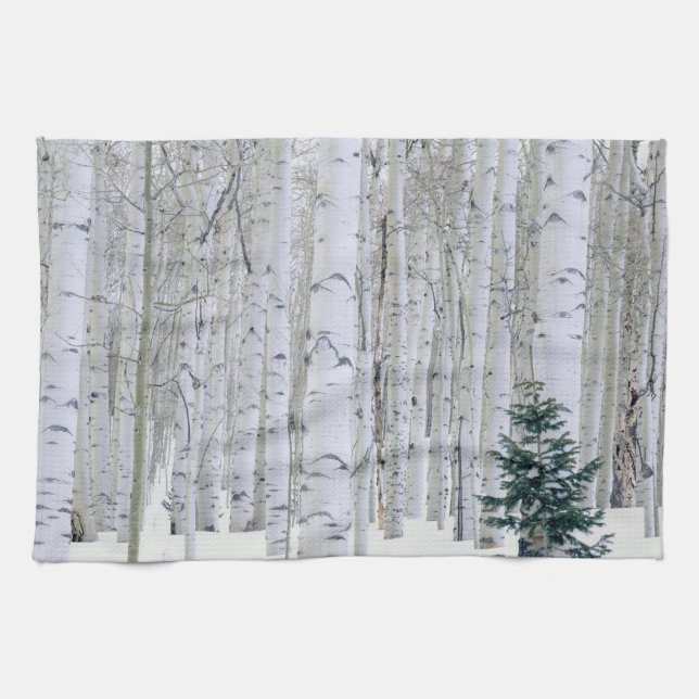 Linge De Cuisine UTAH. ÉTATS-UNIS. Tremble (Populus tremuloides) &  (Horizontal)