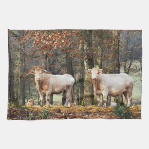 Linge De Cuisine Vaches en zone boisée