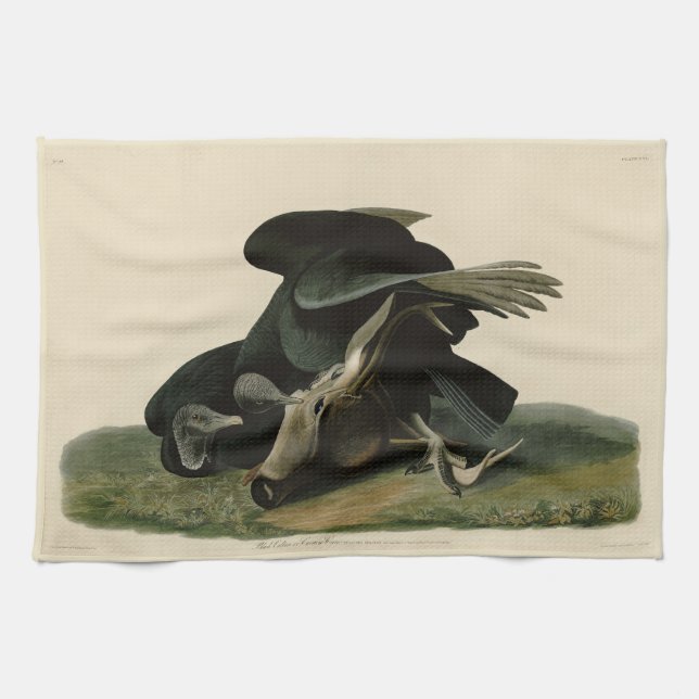 Linge De Cuisine Vautour noir, des oiseaux d'Amérique d'Audubon (Horizontal)