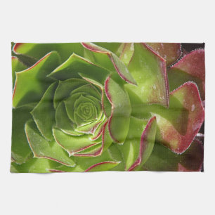 Linge De Cuisine Vert