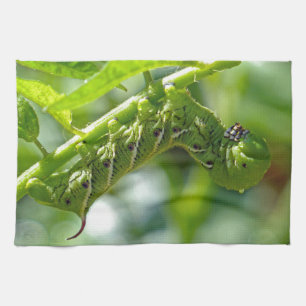 Linge De Cuisine Vin de la tomate