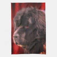 Visage de chien noir et blanc de Terre-Neuve