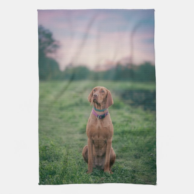 Linge De Cuisine vizsla assise (Vertical)