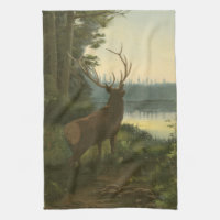 Vue arrière du lac Elk Vue sur un lac