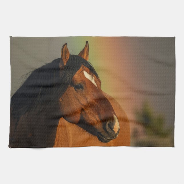 Linge De Cuisine Wild Stallion, Golden Light and Rainbow (Horizontal)