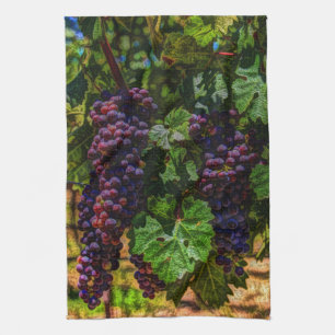 Linge De Cuisine Winery Grapevine sunny tuscany vineyard
