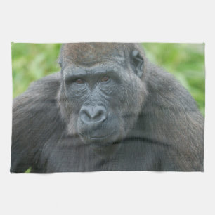 Linge De Cuisine Yeux de Gorilla Shufai