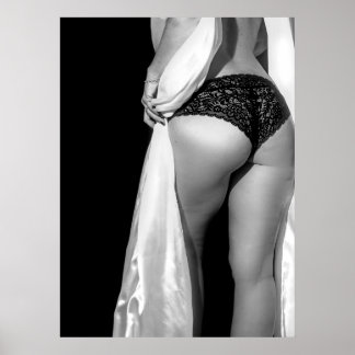 Lingerie sexy noir et blanc modèle photo Poster