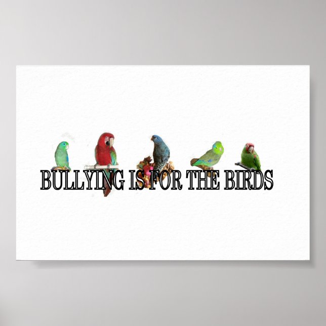 L'intimidation est pour les oiseaux Poster (Devant)