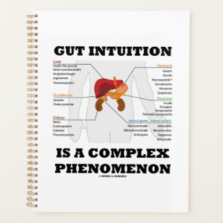 L'Intuition De L'Otus Est Un Phénomène Complexe En