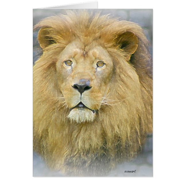 lion (Devant)