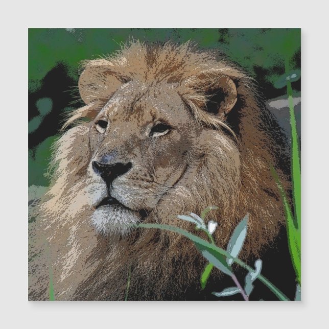 Lion20150805 (Devant)