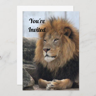 Lion 6880 Invitation d'anniversaire