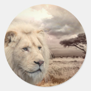 Lion à stickers