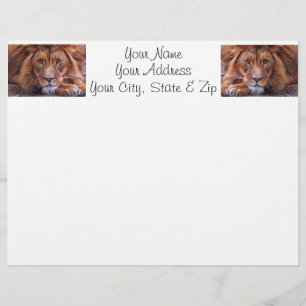 Lion africain
