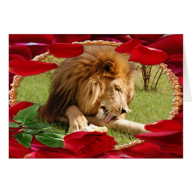 lion-africain-00069-65x45 (Devant horizontal)