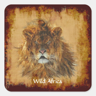 LION AFRICAIN Big Five Big Cat Wildlife Stickers