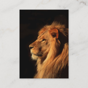 Lion africain puissant - Carte de visite à deux c