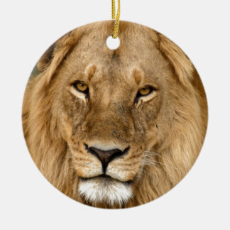 Lion Avec Grand Mane, Ornement En Céramique
