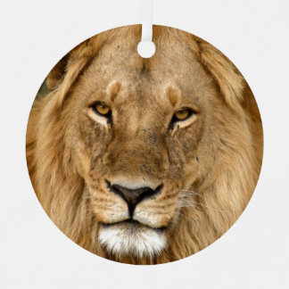 Lion Avec Grand Mane Ornement En Céramique