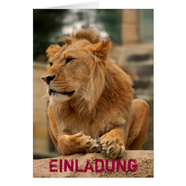 Lion avec une coupe de punk (Devant)