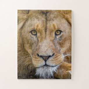 LION CLOSEUP PHOTOGRAPHIE JIGSAW PUZZLE
