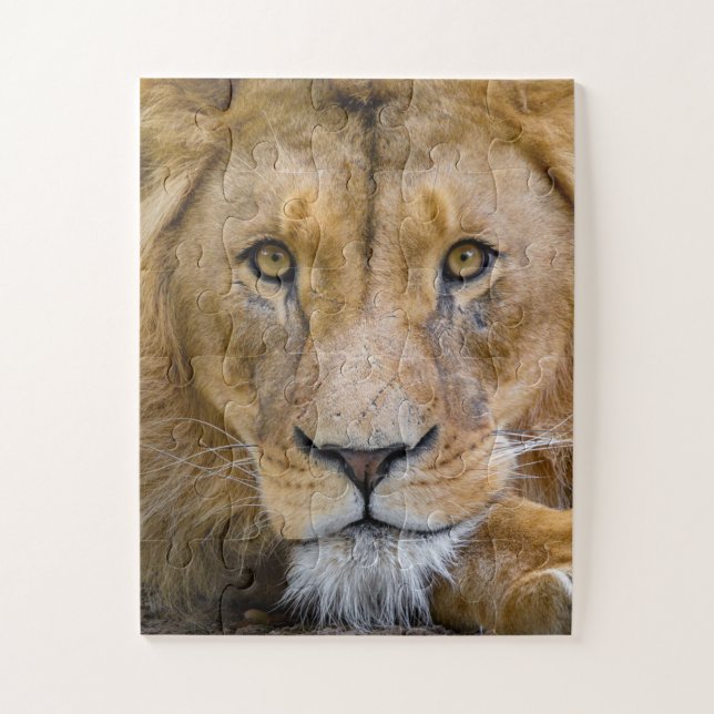 LION CLOSEUP PHOTOGRAPHIE JIGSAW PUZZLE (Vertical)