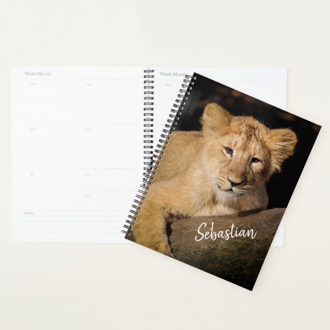 Lion Cub (Devant avec enveloppe)