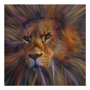 Lion dans la galerie Poster brillant