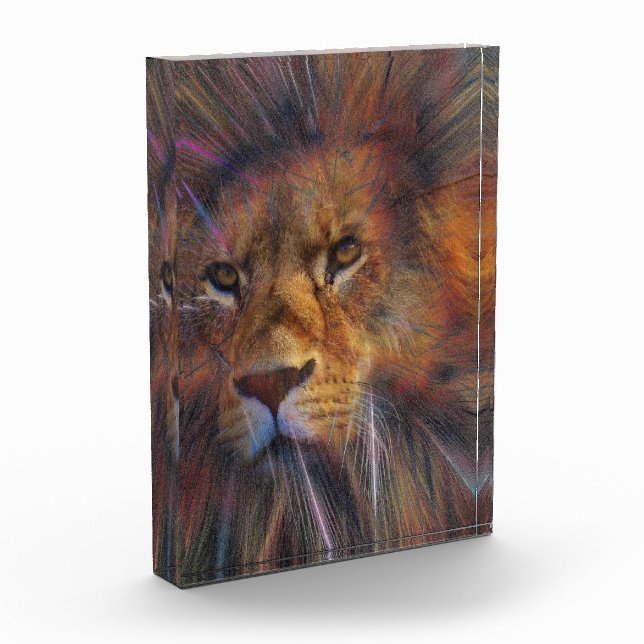 Lion dans le bloc photo de la galerie (Gauche)