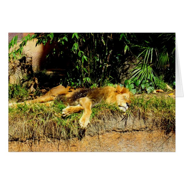 Lion de Lazy (Devant horizontal)