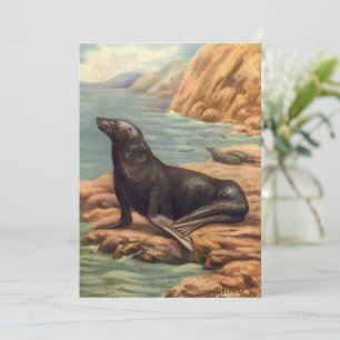 Lion de mer vintage au bord de la mer, Mammifères