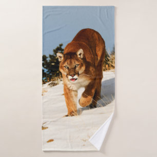Lion de montagne sur une colline enneigée