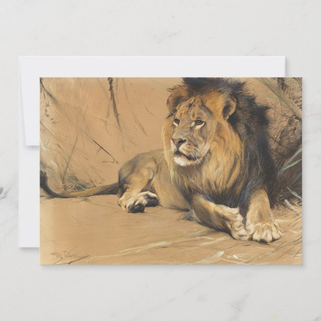 Lion de repos | Wilhelm Kuhnert (Devant)