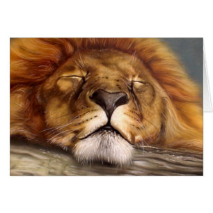 Lion de sommeil