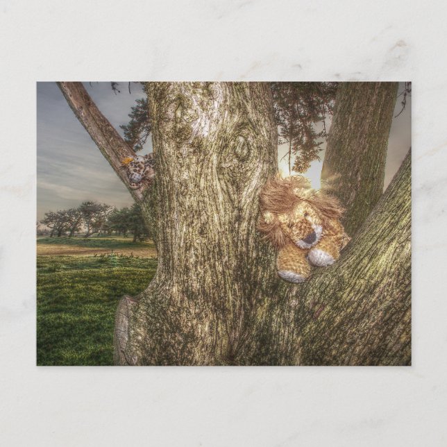 Lion et Léopard sont amis  Carte postale (Devant)