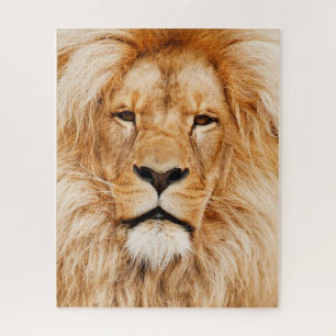 Lion Face Jigsaw Puzzle