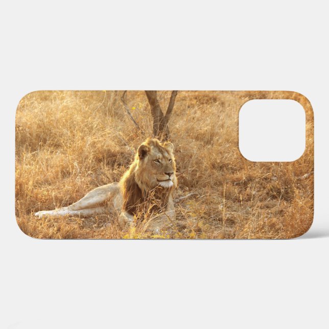 Lion iPhone 12 Coque (Verso (horizontal))