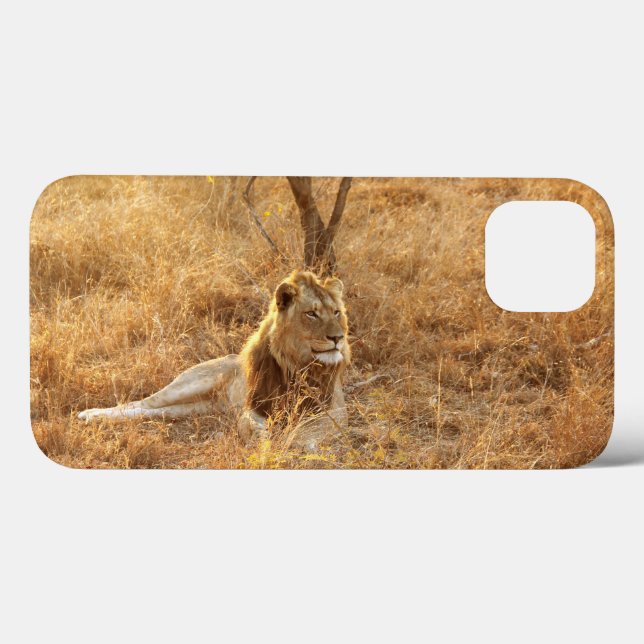 Lion iPhone 13 Coque (Verso (horizontal))