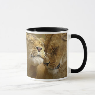 Lion Mugs