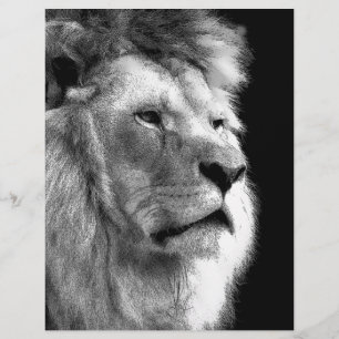 Lion noir blanc