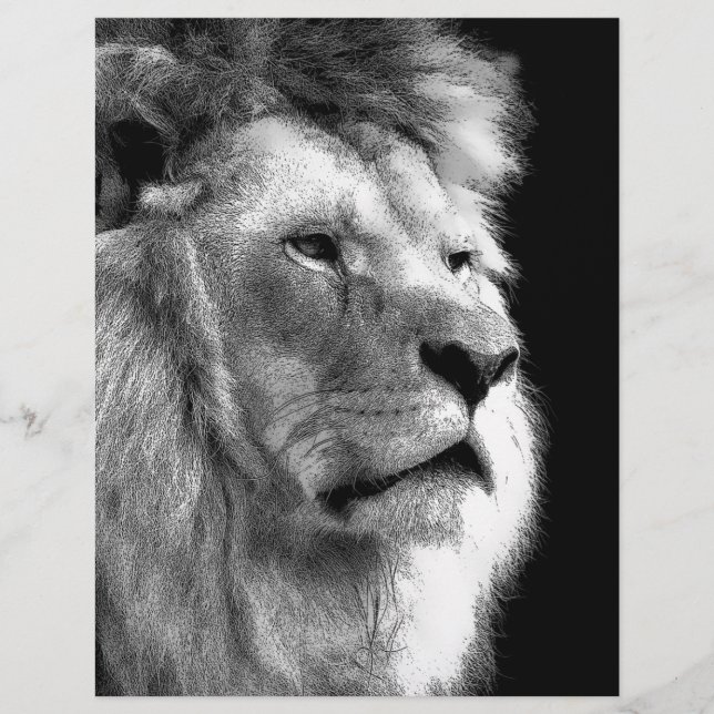Lion noir blanc (Devant)