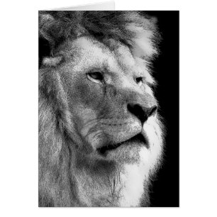 Lion noir blanc