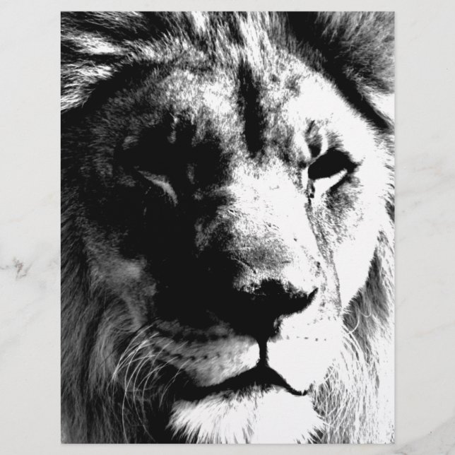 Lion noir et blanc (Devant)