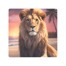 Lion sur la plage