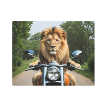 Lion sur moto