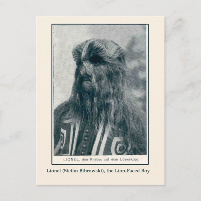 Lionel, le Lion Factory Boy Cartes et Cartes Posta (Devant)